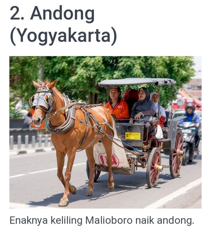 Andong, traditional transportation