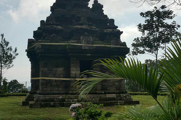 Borobudur & Selogriyo Temple Rice Terrace Tour